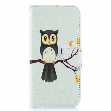 Чехол-книжка Deexe Color Wallet для Samsung Galaxy A50 (A505) / A30s (A307) / A50s (A507) - Owl on the Branch