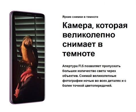 Смартфон Samsung Galaxy S9 Plus (SM-G965FZPDSEK) Gray