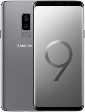 Смартфон Samsung Galaxy S9 Plus (SM-G965FZPDSEK) Gray