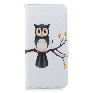 Чехол-книжка Deexe Color Wallet для Samsung Galaxy J4+ (J415) - Owl on Branch
