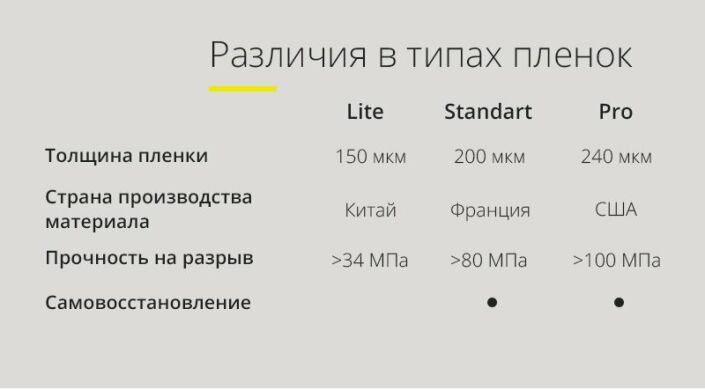 Защитная пленка StatusSKIN Lite на заднюю панель для Samsung Galaxy S10 Plus (G975)