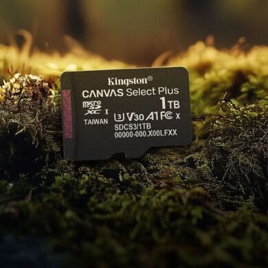 Карта памяти Kingston microSDXC 64GB Canvas Select Plus Gen3 UHS-I U1 V10 A1 (100MB/s) + адаптер (SDCS3/64GB) - Black