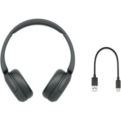 Беспроводные наушники SONY WH-CH520 - Black