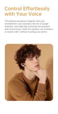 Беспроводные наушники Black Shark T18 (BS-T18) - Black