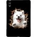 Защитный кейс Deexe Art Style для Samsung Galaxy Tab S12 Plus - Samoyed. Фото 1 из 4