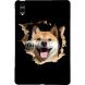 Защитный кейс Deexe Art Style для Samsung Galaxy Tab S12 Plus - Shiba Inu. Фото 1 из 4