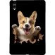 Защитный кейс Deexe Art Style для Samsung Galaxy Tab S12 Plus - Corgi. Фото 1 из 4